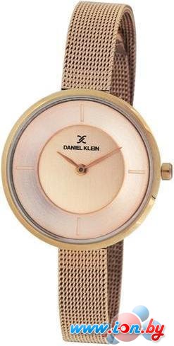 Наручные часы Daniel Klein DK11542-3 в Витебске