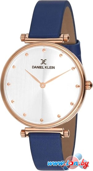 Наручные часы Daniel Klein DK11687-6 в Бресте