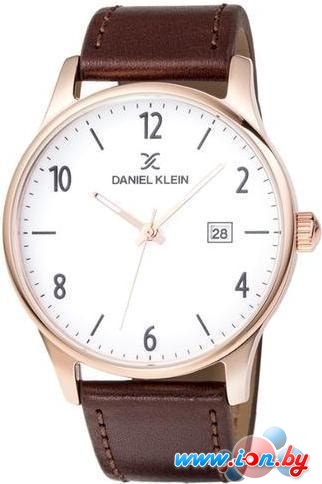 Наручные часы Daniel Klein DK11995-5 в Бресте