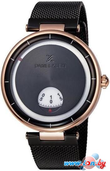 Наручные часы Daniel Klein DK11973-2 в Бресте