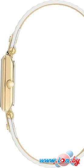 Наручные часы Anne Klein 3752CRWT в Могилёве