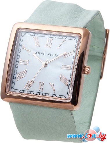 Наручные часы Anne Klein 1210RGMT в Могилёве