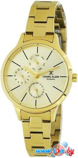 Наручные часы Daniel Klein DK11544-4 в Бресте