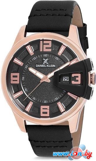 Наручные часы Daniel Klein DK12161-2 в Могилёве