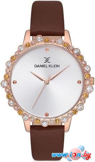 Наручные часы Daniel Klein DK12525-3 в Бресте