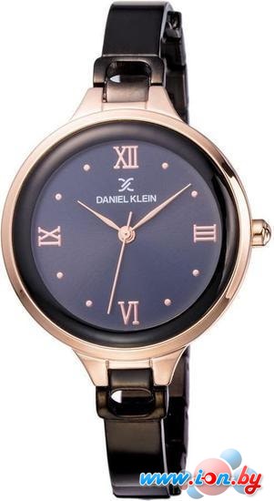 Наручные часы Daniel Klein DK11872-4 в Бресте