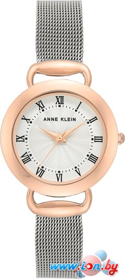 Наручные часы Anne Klein 3807SVRT в Бресте