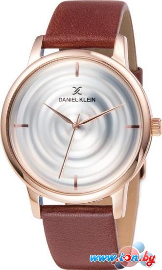 Наручные часы Daniel Klein DK11848-5 в Бресте