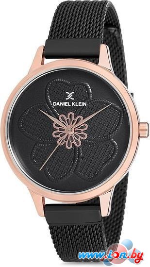 Наручные часы Daniel Klein DK12175-4 в Бресте