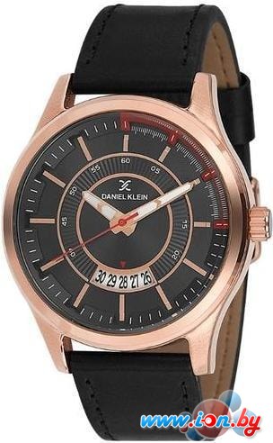 Наручные часы Daniel Klein DK11660-4 в Бресте