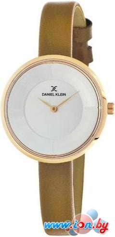 Наручные часы Daniel Klein DK11541-6 в Бресте