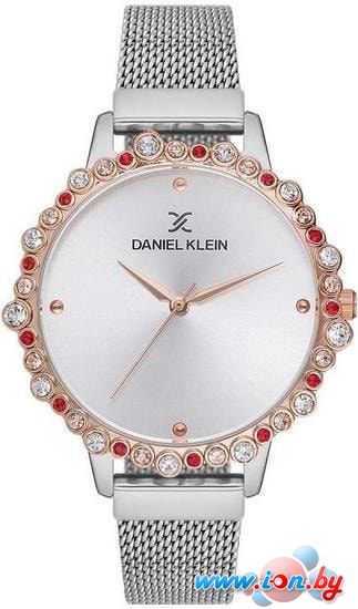 Наручные часы Daniel Klein DK12520-4 в Могилёве