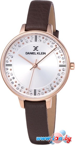 Наручные часы Daniel Klein DK11881-2 в Могилёве