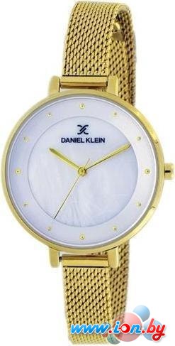 Наручные часы Daniel Klein DK11540-2 в Могилёве