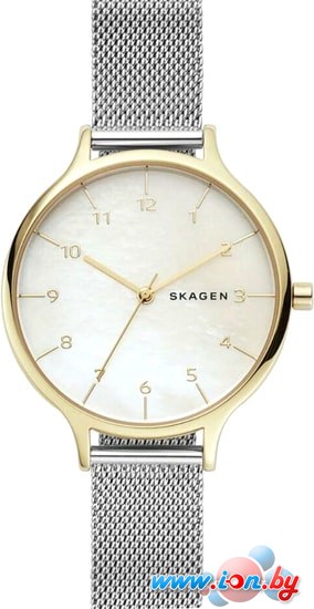 Наручные часы Skagen SKW2702 в Гомеле