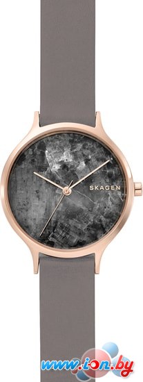 Наручные часы Skagen SKW2672 в Гомеле