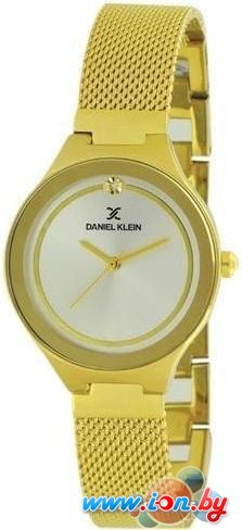 Наручные часы Daniel Klein DK11468-2 в Бресте