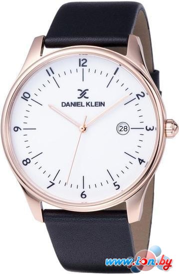 Наручные часы Daniel Klein DK11913-5 в Бресте