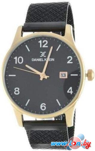 Наручные часы Daniel Klein DK11855-4 в Бресте