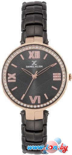 Наручные часы Daniel Klein DK12286-6 в Бресте