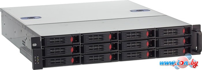 Корпус ExeGate 2U550-HS12 800W EX281298RUS в Бресте