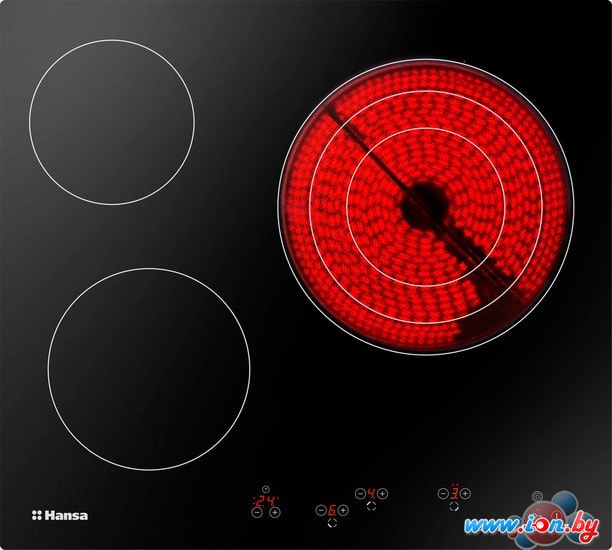 Варочная панель Hansa BHC66216 в Могилёве