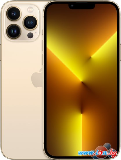Смартфон Apple iPhone 13 Pro Max 256GB (золотой) в Гомеле
