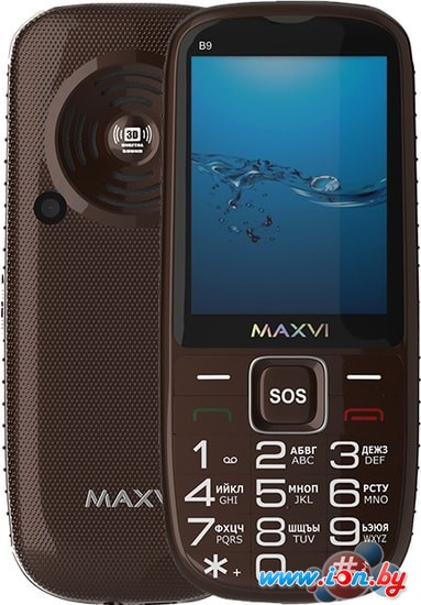 Мобильный телефон Maxvi B9 (коричневый) в Витебске