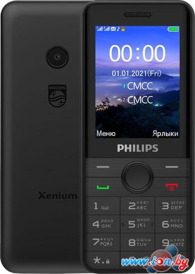 Смартфон Philips Xenium E172 (черный) в Бресте