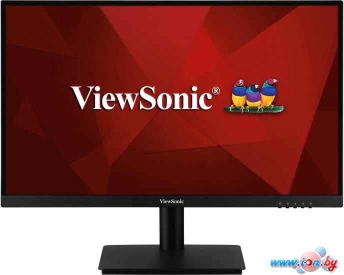 Монитор ViewSonic VA2406-h в Могилёве