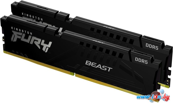 Оперативная память Kingston FURY Beast 2x16GB DDR5 PC5-41600 KF552C40BBK2-32 в Витебске