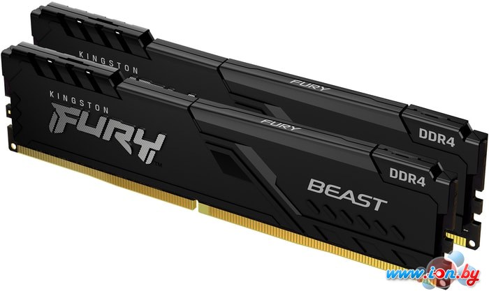 Оперативная память Kingston FURY Beast 2x16GB DDR4 PC4-28800 KF436C18BBK2/32 в Бресте