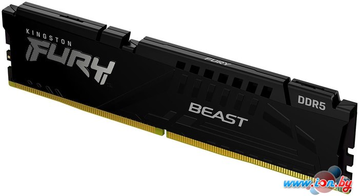 Оперативная память Kingston FURY Beast 16GB DDR5 PC5-38400 KF548C38BB-16 в Гродно