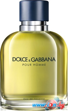 Парфюмерия Dolce&Gabbana Pour Homme EdT (75 мл) в Гомеле