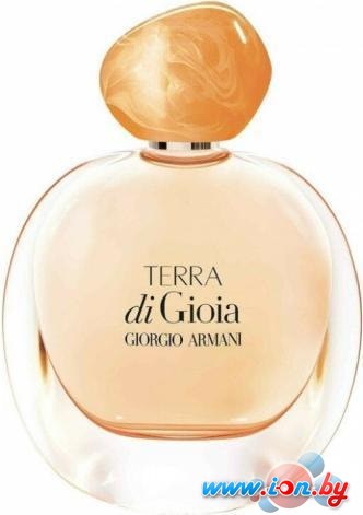 Парфюмерия Giorgio Armani Terra Di Gioia EdP (30 мл) в Бресте