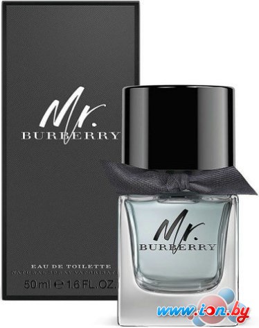 Парфюмерия Burberry Mr. Burberry EdT (50 мл) в Могилёве