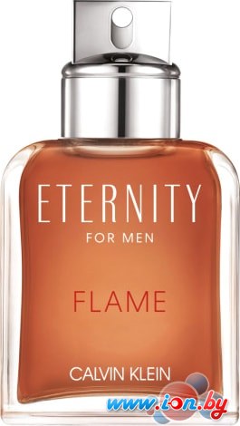 Парфюмерия Calvin Klein Eternity Flame EdT (50 мл) в Бресте