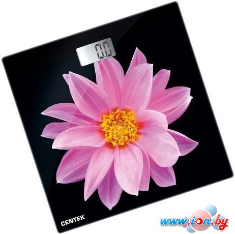 Напольные весы CENTEK CT-2416 Pink Flower в Могилёве