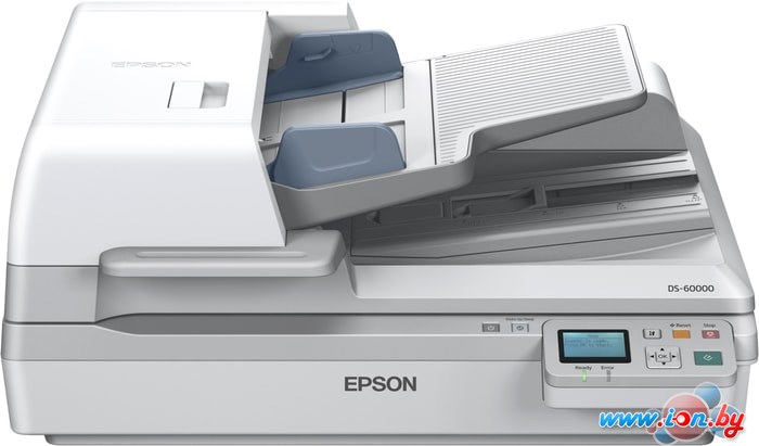 Сканер Epson WorkForce DS-60000N в Могилёве