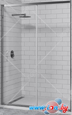 Душевая дверь RGW PA-016 180 (хром/прозрачное стекло) в Могилёве