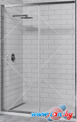 Душевая дверь RGW PA-016 140 (хром/прозрачное стекло) в Могилёве