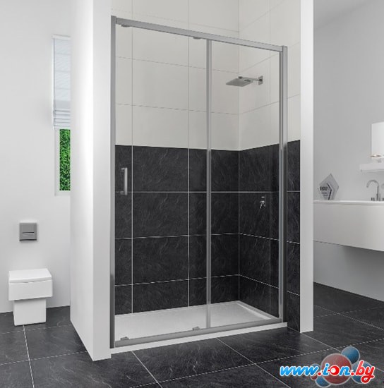 Душевая дверь RGW CL-14 160 в Могилёве