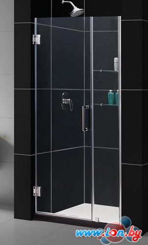 Душевая дверь RGW HO-02 100 см (прозрачное стекло) в Могилёве