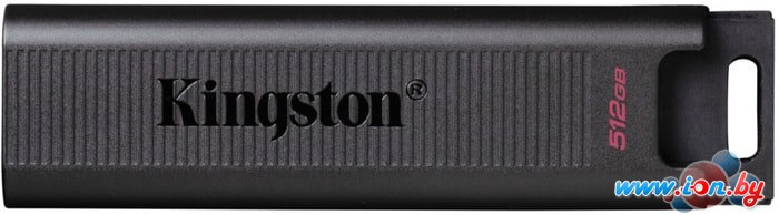 USB Flash Kingston DataTraveler Max 512GB в Могилёве