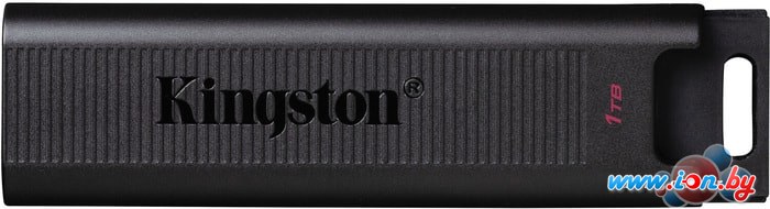 USB Flash Kingston DataTraveler Max 1TB в Могилёве