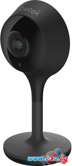 IP-камера Rubetek RV-3419 (черный) в Могилёве