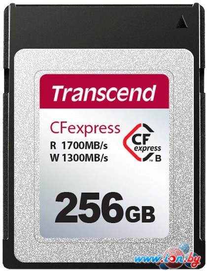 Карта памяти Transcend CFexpress 820 Type B 256GB TS256GCFE820 в Витебске