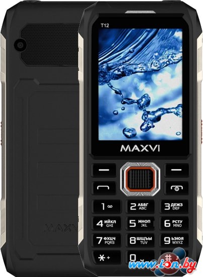 Кнопочный телефон Maxvi T12 (черный) в Гомеле