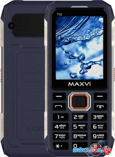 Кнопочный телефон Maxvi T12 (синий) в Могилёве