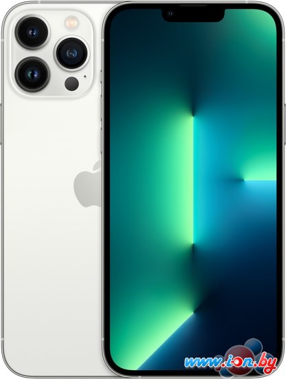 Смартфон Apple iPhone 13 Pro Max 128GB (серебристый) в Могилёве